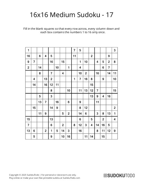 16x16 Sudoku - Medium - 17