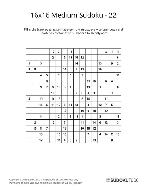 16x16 Sudoku - Medium - 22