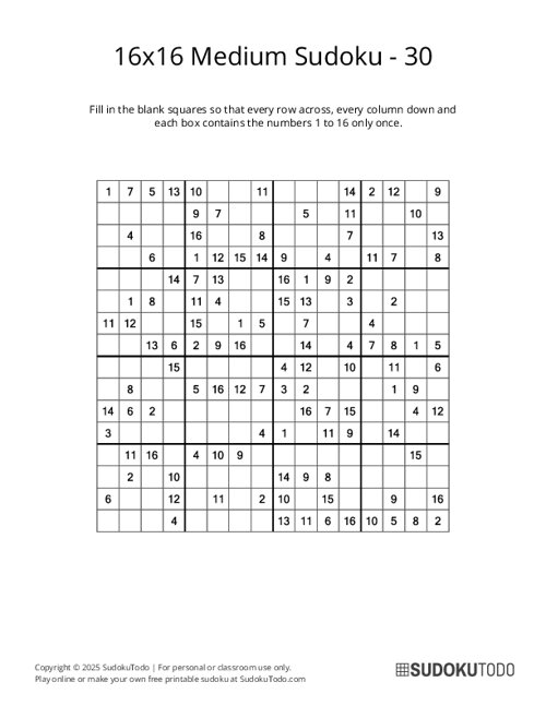 16x16 Sudoku - Medium - 30