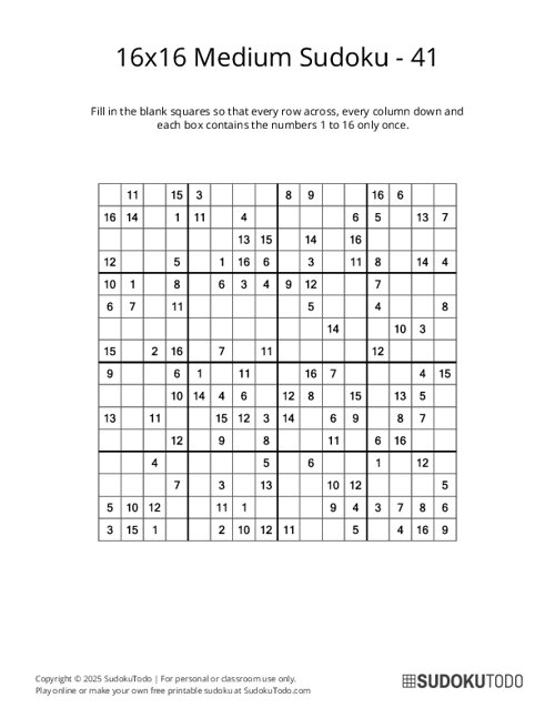 16x16 Sudoku - Medium - 41