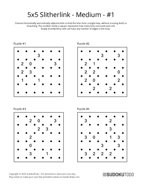 5x5 Slitherlink - Medium - 1