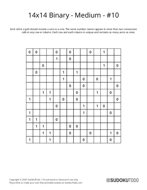14x14 Binary - Medium - 10
