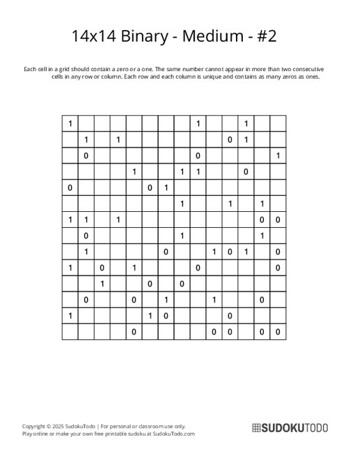14x14 Binary - Medium - 2