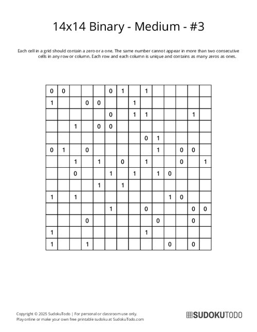 14x14 Binary - Medium - 3